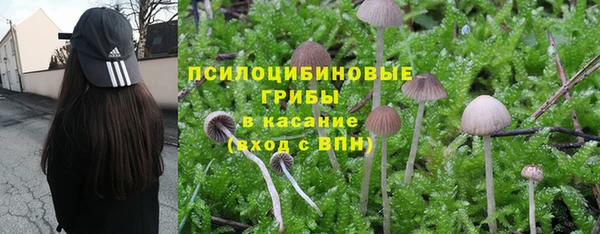 марки lsd Алексеевка