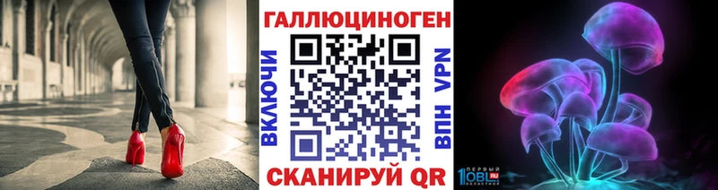 Псилоцибиновые грибы Cubensis  Сунжа 